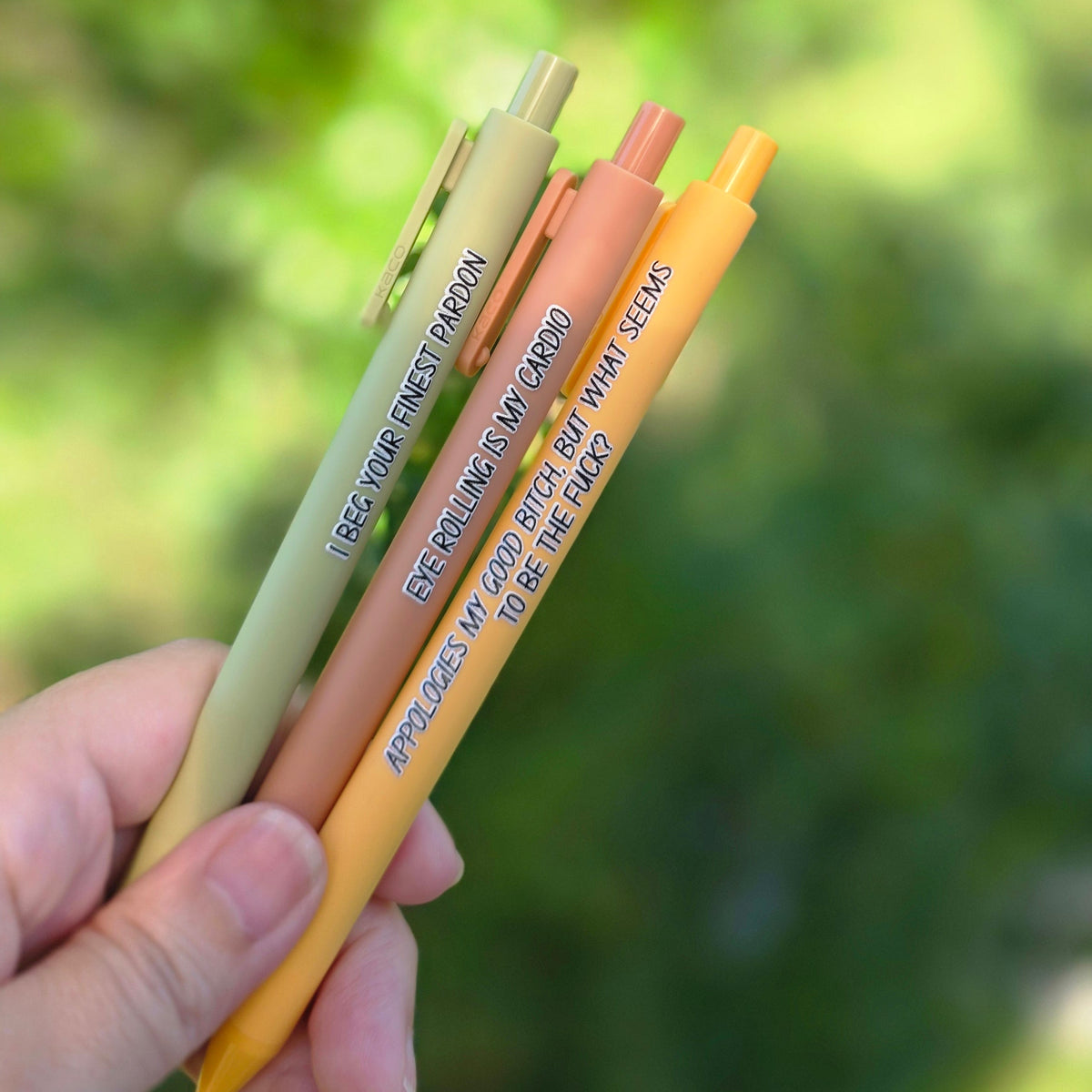I beg your finest pardon pen set