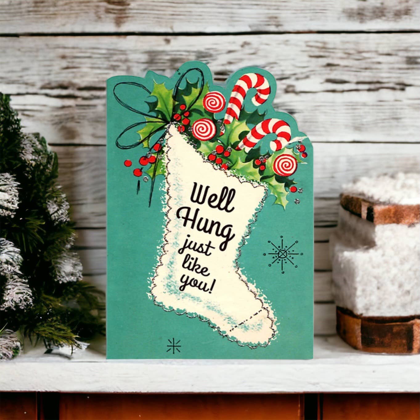 Well Hung Just Like You - Funny Vintage Christmas Card